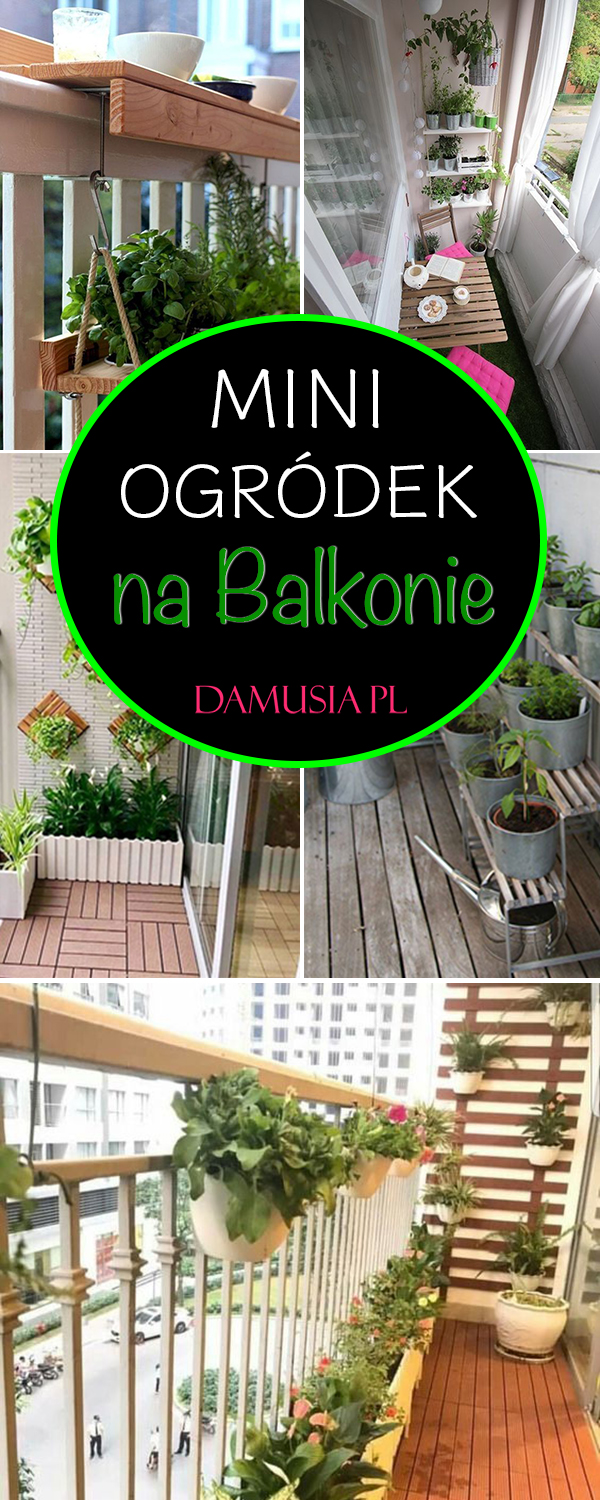 Mini Ogródek czyli Uprawa Ziół, Warzyw i Owoców na Balkonie